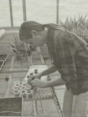 Rhiannon Reimer Transplanting Lettuce