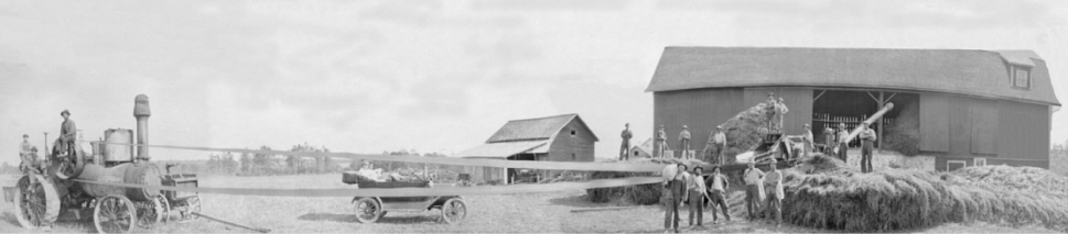 Schwarze Threshing