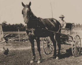 Ed Decker and his horse